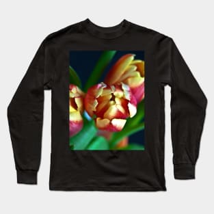 Eternal Sound of Spring Long Sleeve T-Shirt